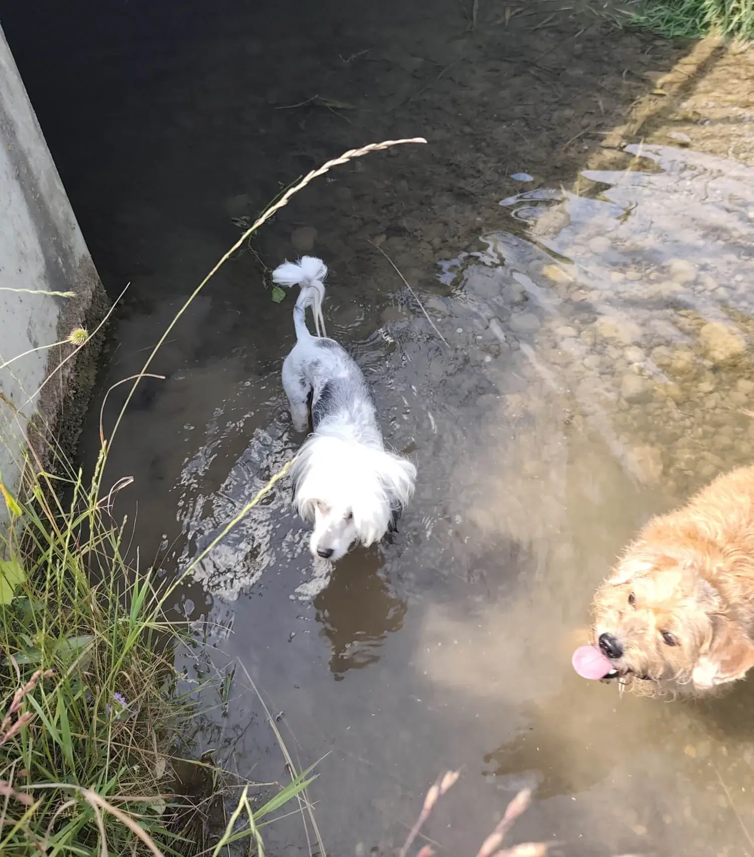 Hero-Image Hintergrund