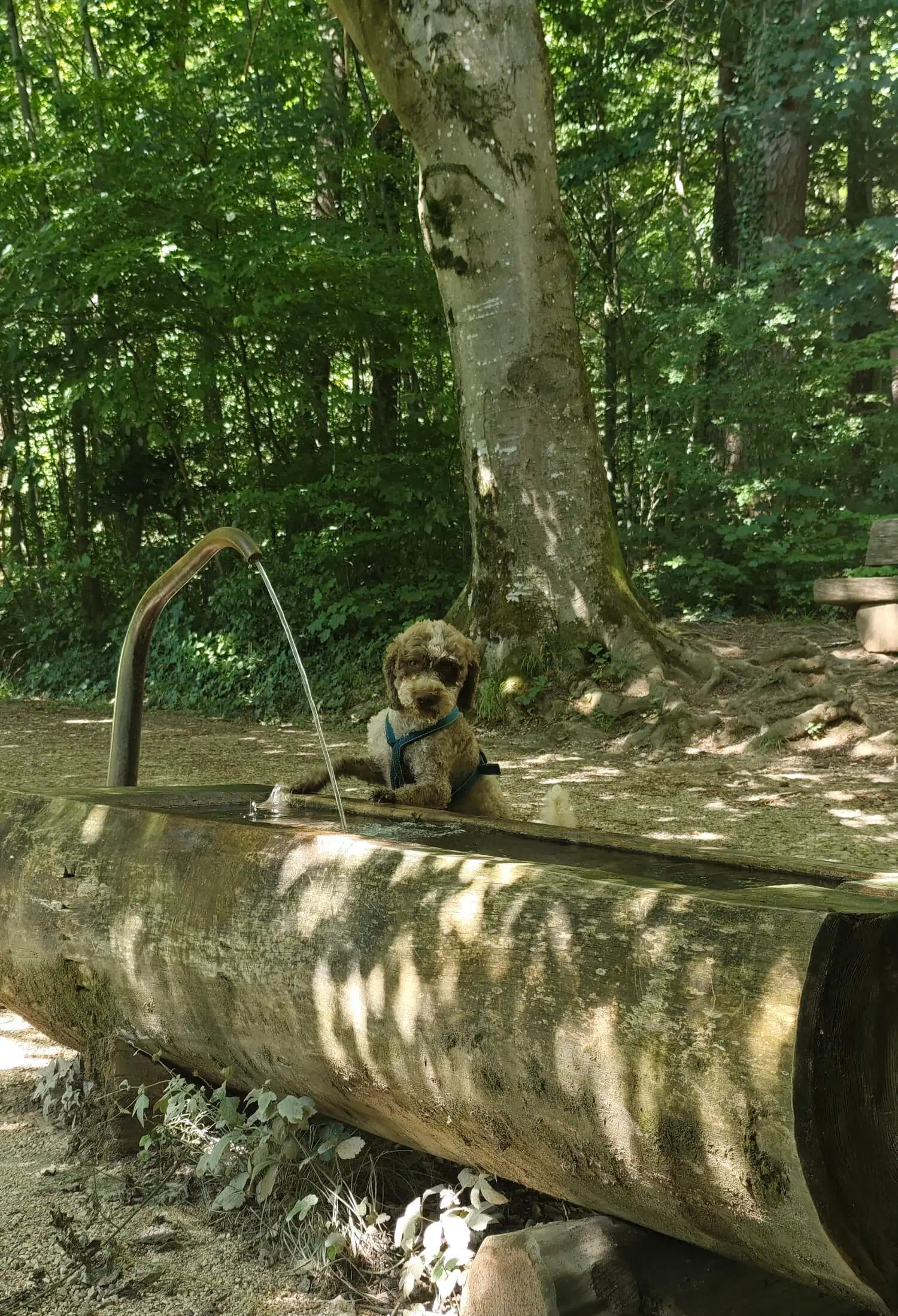 Hero-Image Vordergrund